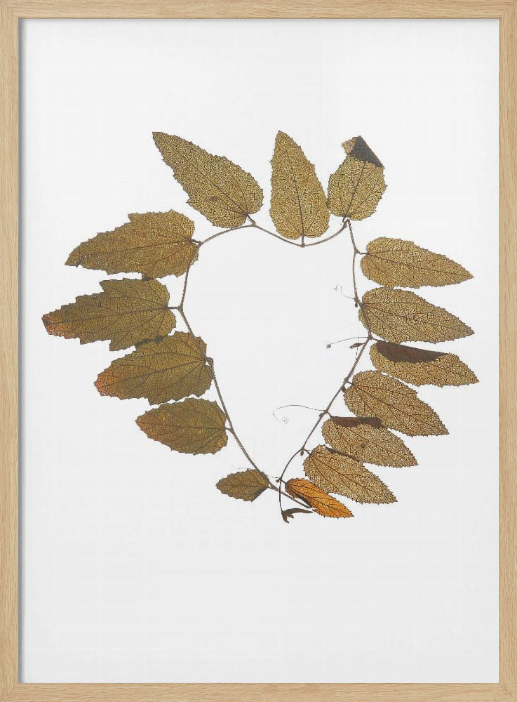 Blätterumarmung | Poster