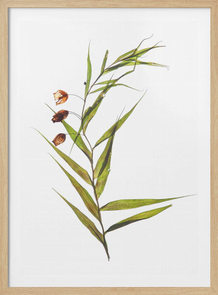Flüsternde Blätter | Poster