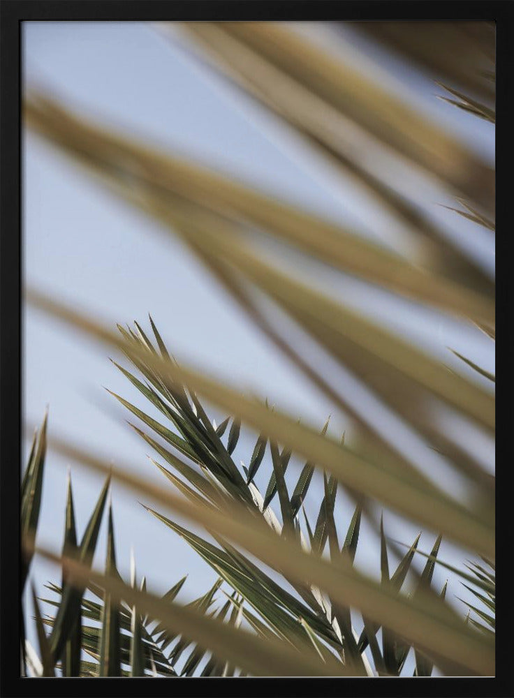 Flüsternde Palmen | Poster