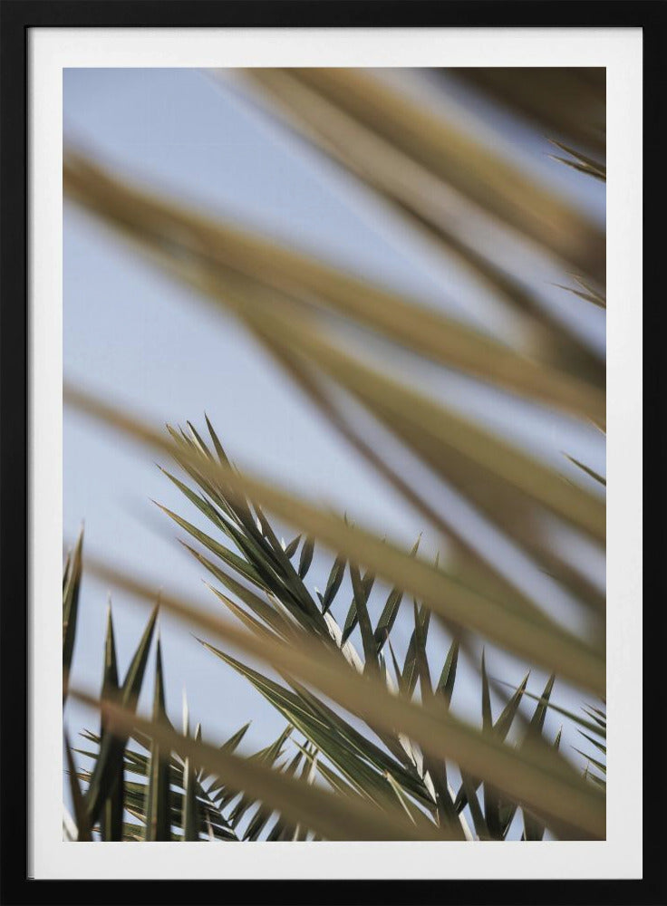 Flüsternde Palmen | Poster