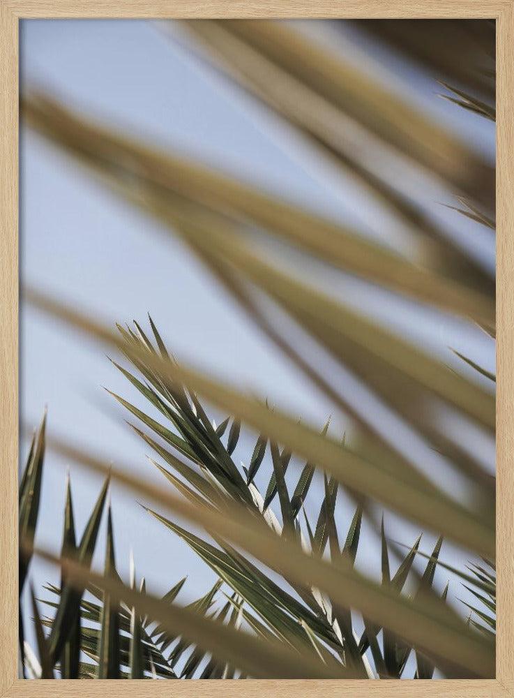 Flüsternde Palmen | Poster