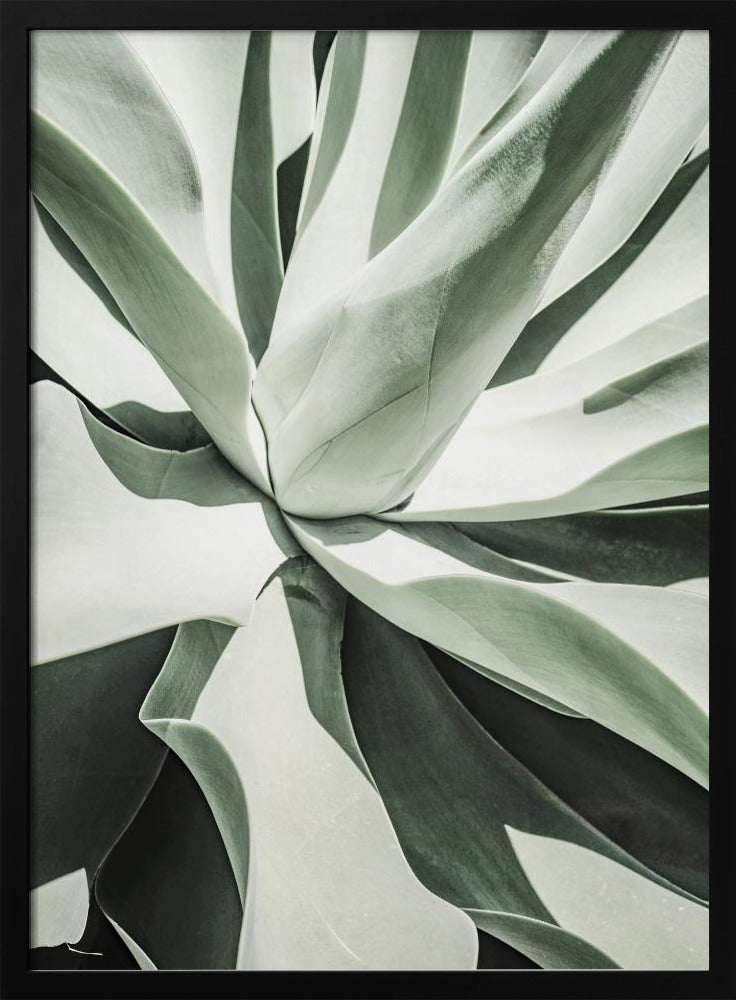 Saftige Harmonie | Poster