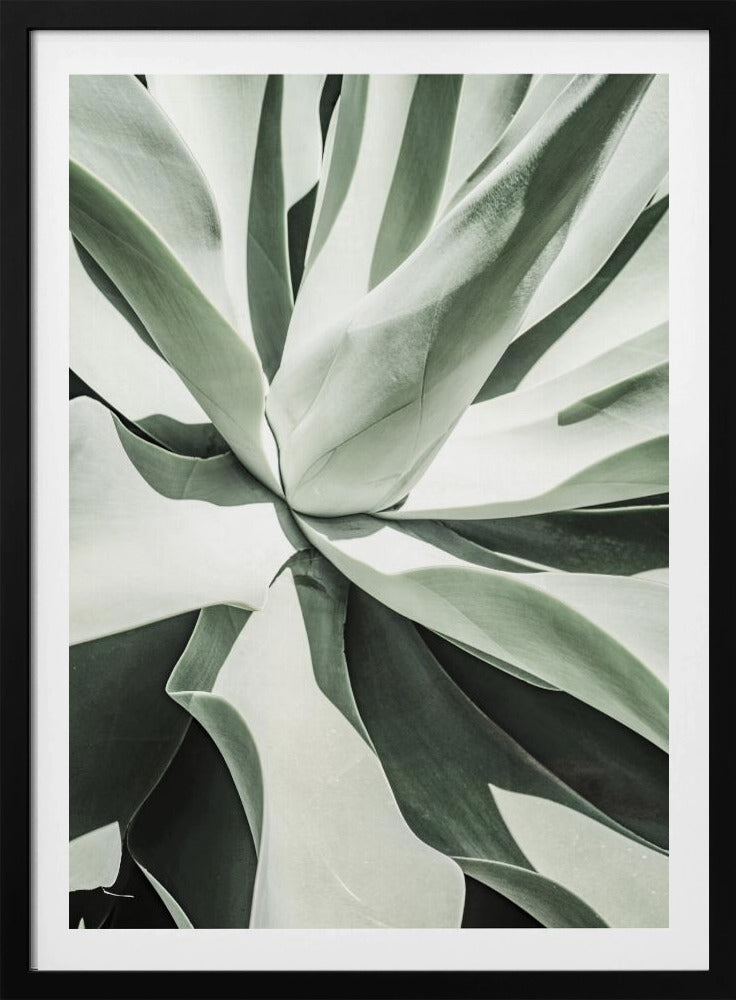 Saftige Harmonie | Poster