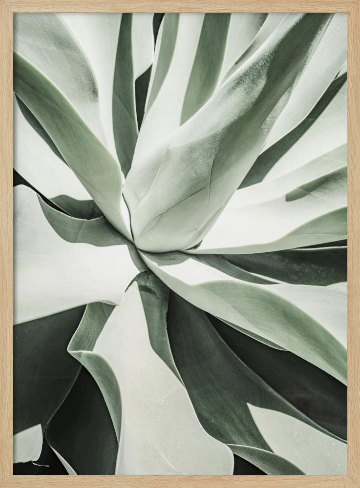 Saftige Harmonie | Poster