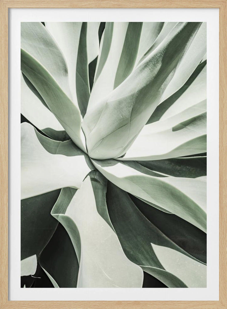 Saftige Harmonie | Poster