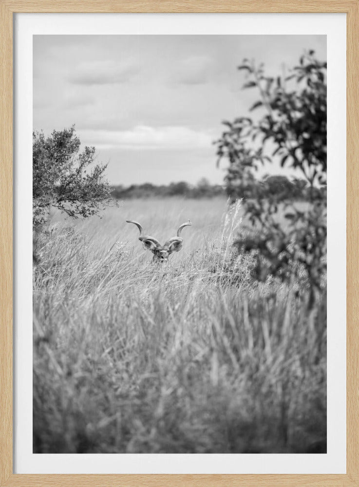 Versteckt im Gras | Poster