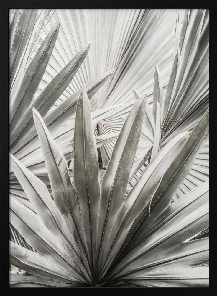 Silberne Wedel | Poster