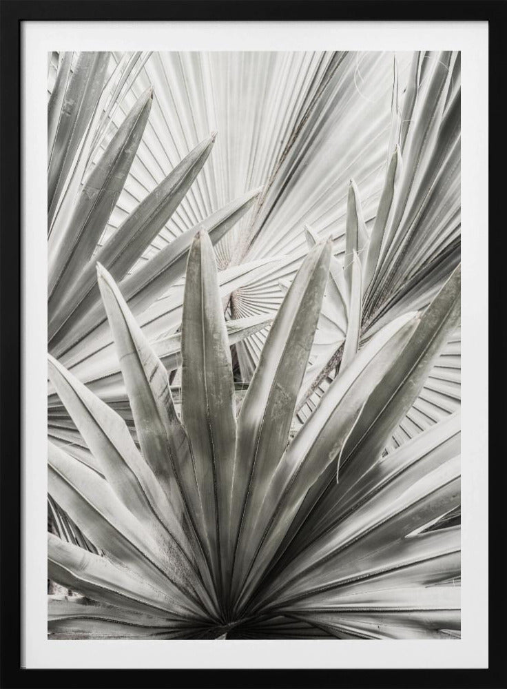 Silberne Wedel | Poster