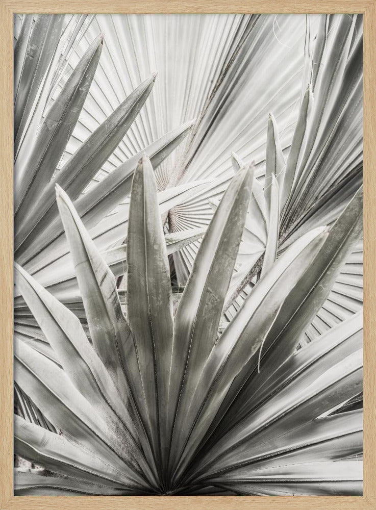 Silberne Wedel | Poster