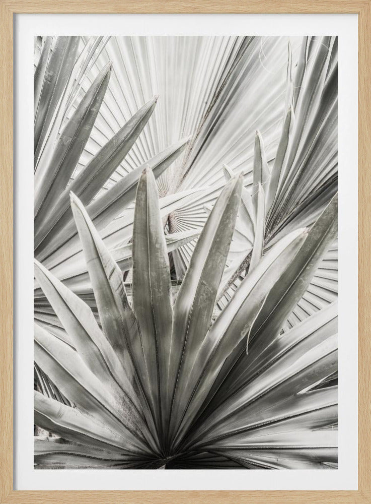 Silberne Wedel | Poster
