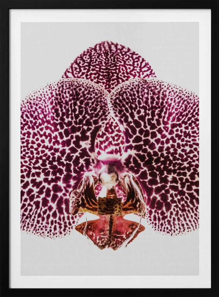 Blütenblatt-Symmetrie-Explosion | Poster