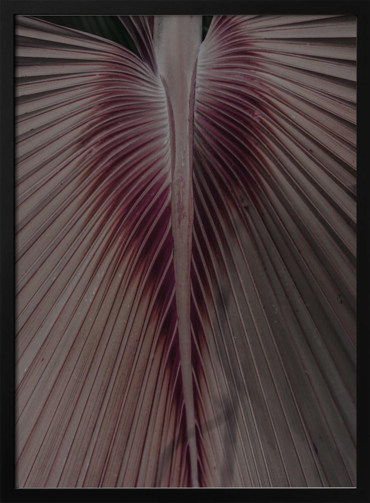 Purpurrote Blattadern | Poster