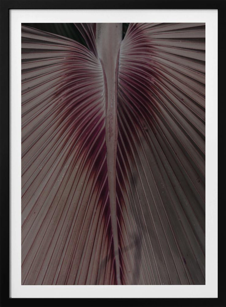 Purpurrote Blattadern | Poster