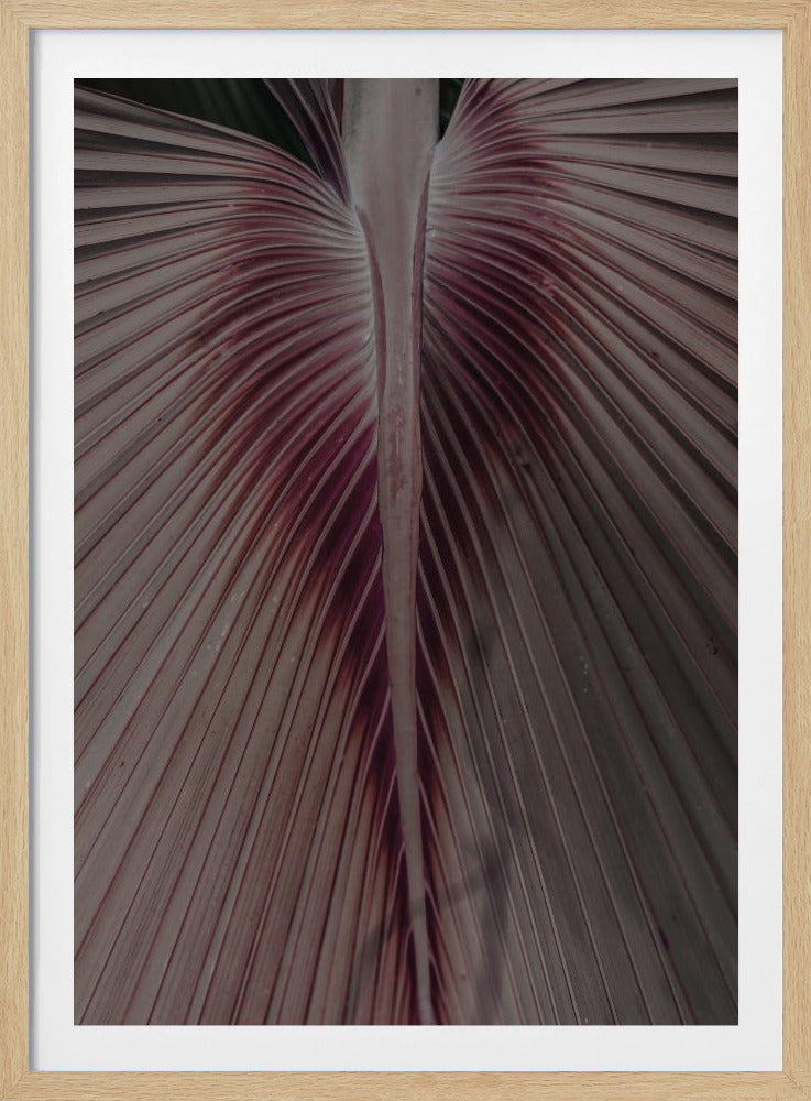Purpurrote Blattadern | Poster