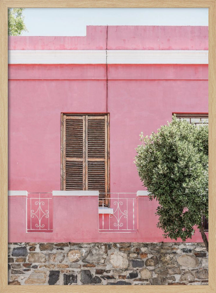Rosa Fassadenruhe | Poster