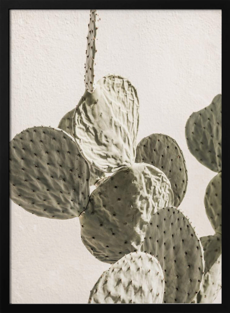 Stachelige Eleganz | Poster