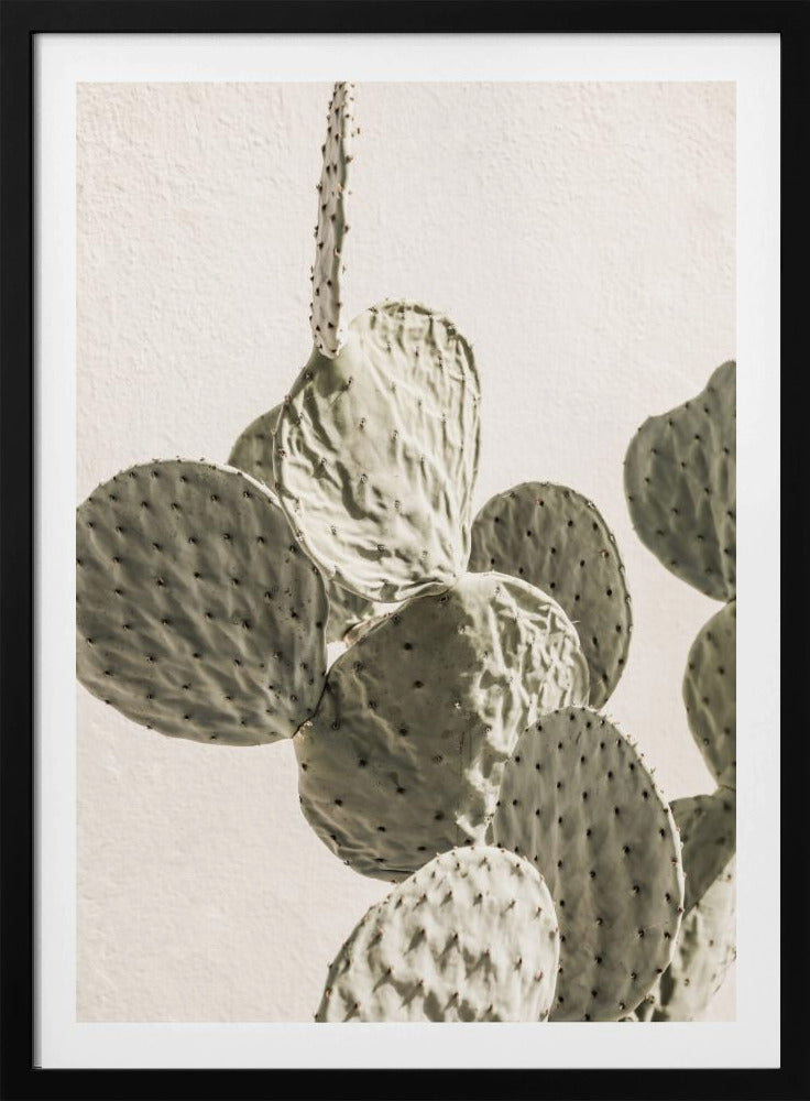 Stachelige Eleganz | Poster
