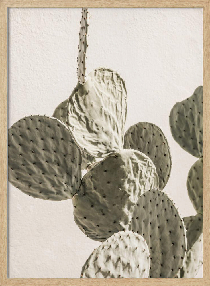 Stachelige Eleganz | Poster