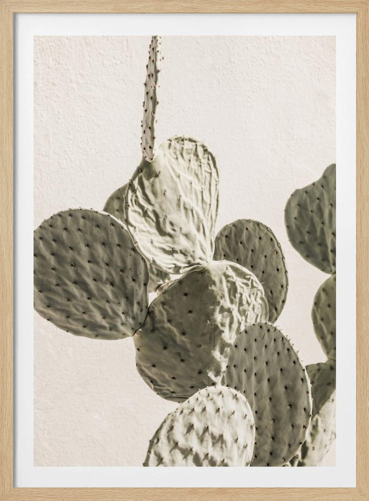 Stachelige Eleganz | Poster