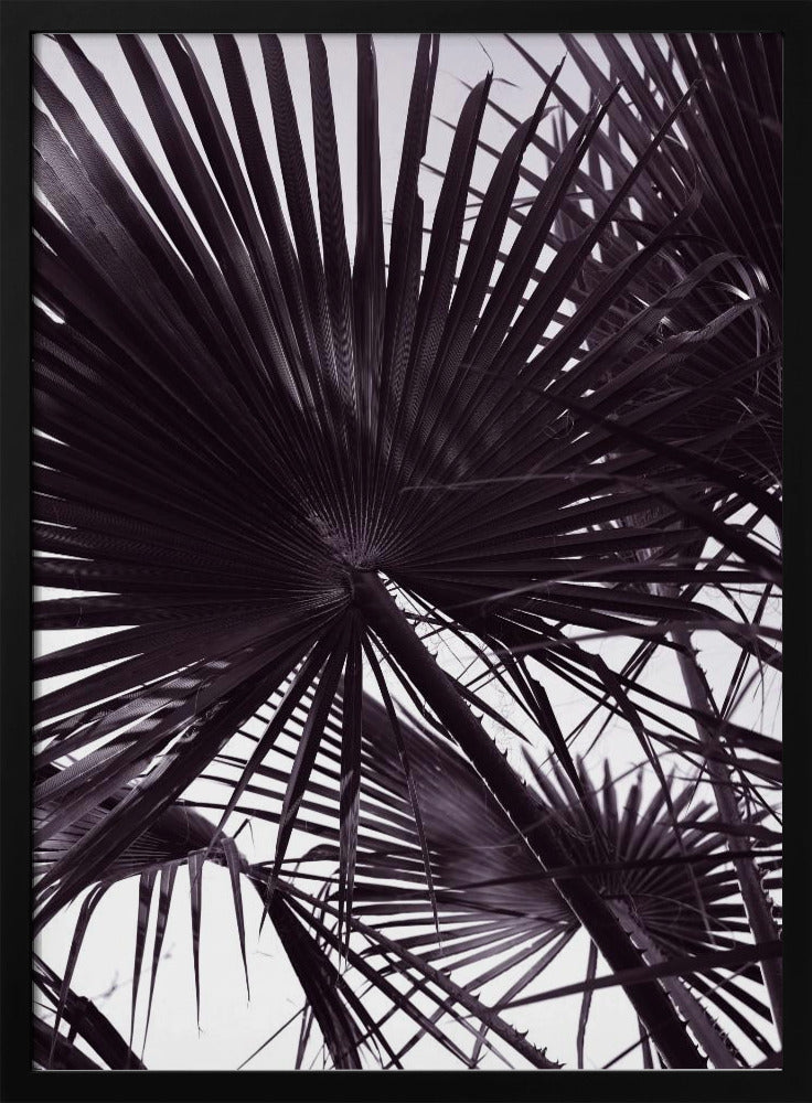 Palmensilhouette | Poster