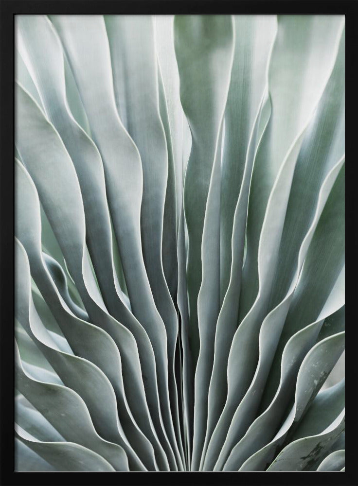 Nature's Grace | Poster