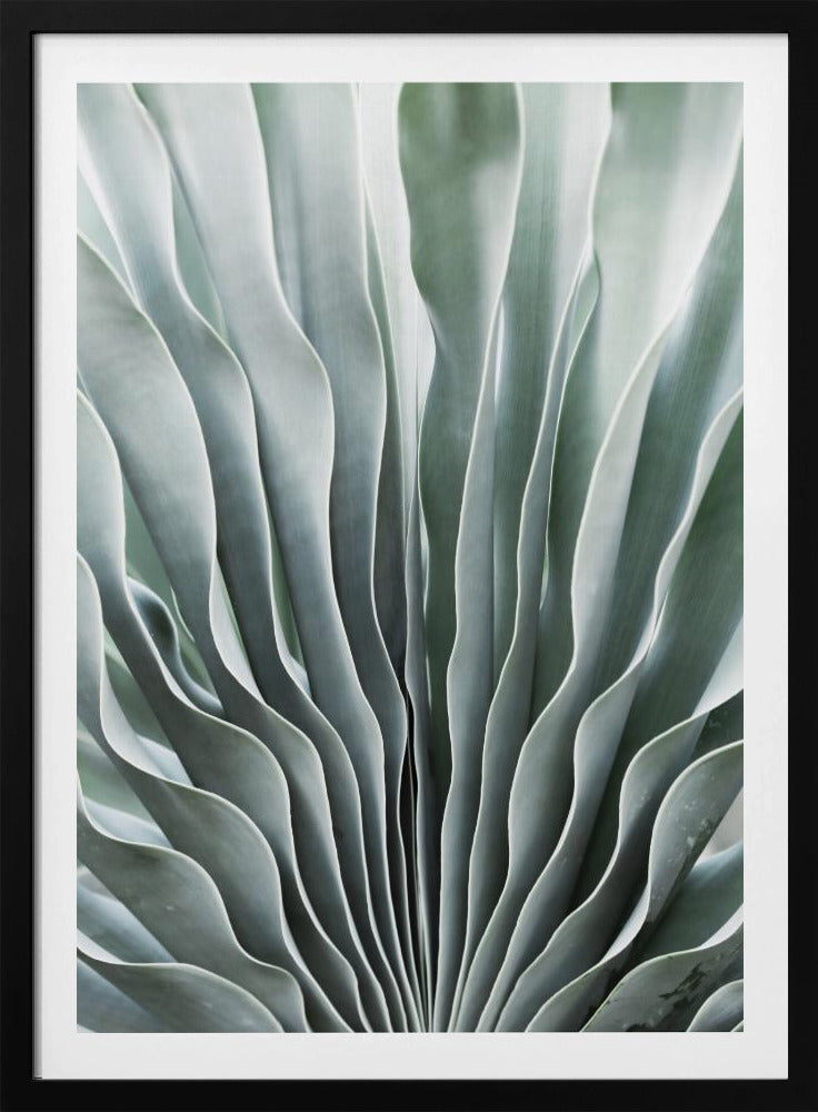 Nature's Grace | Poster
