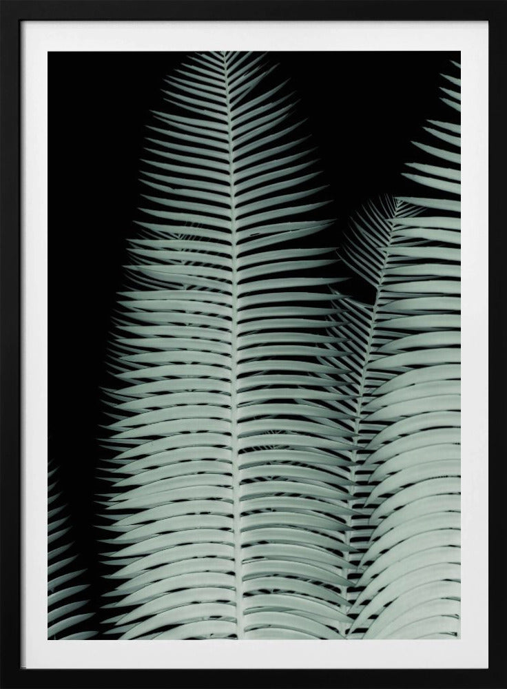 Silberwedel-Symphonie | Poster