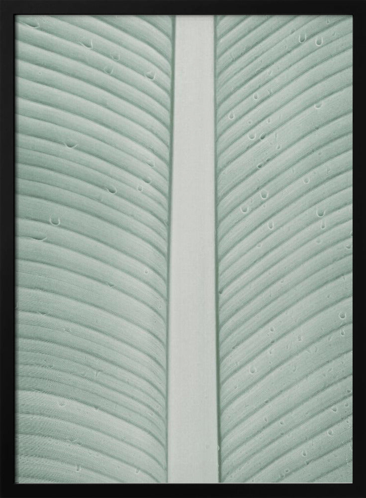 Tropische Adern | Poster