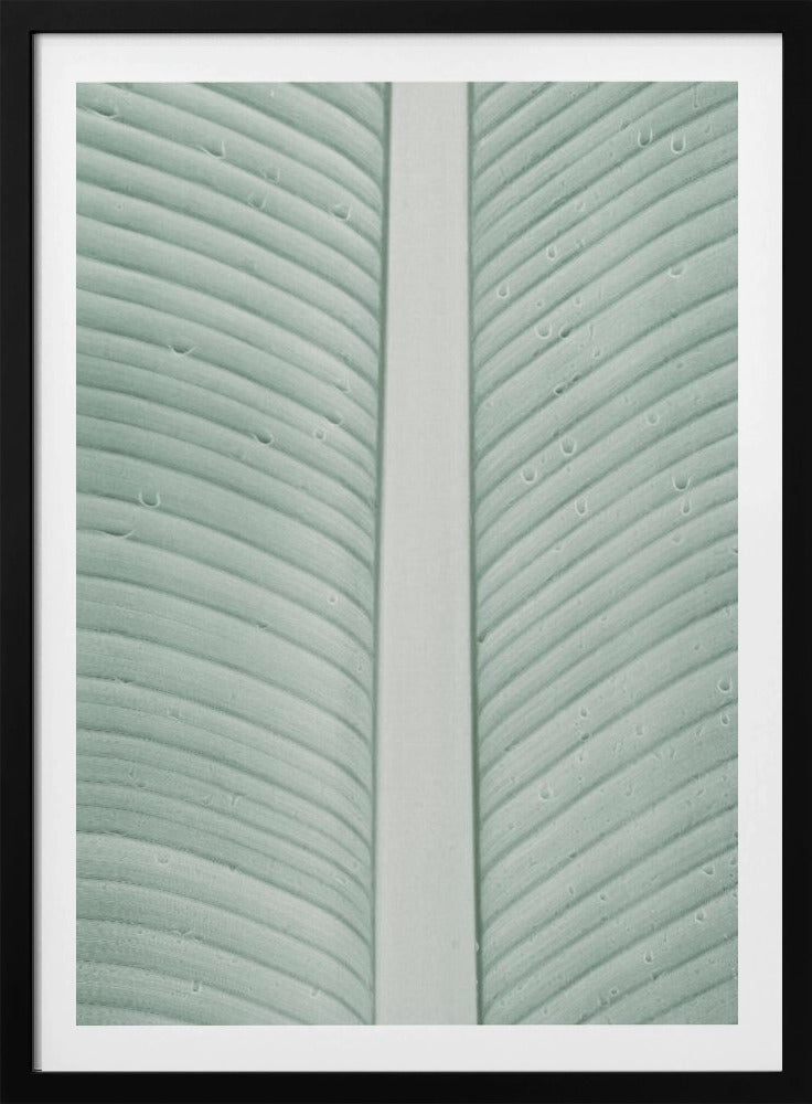 Tropische Adern | Poster