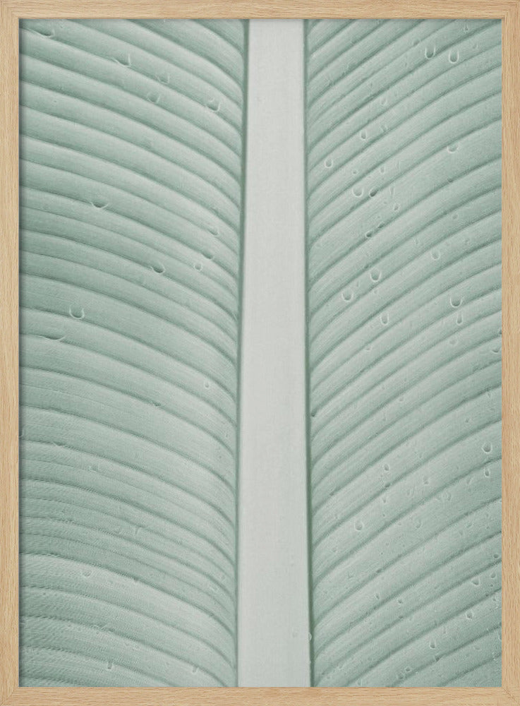 Tropische Adern | Poster