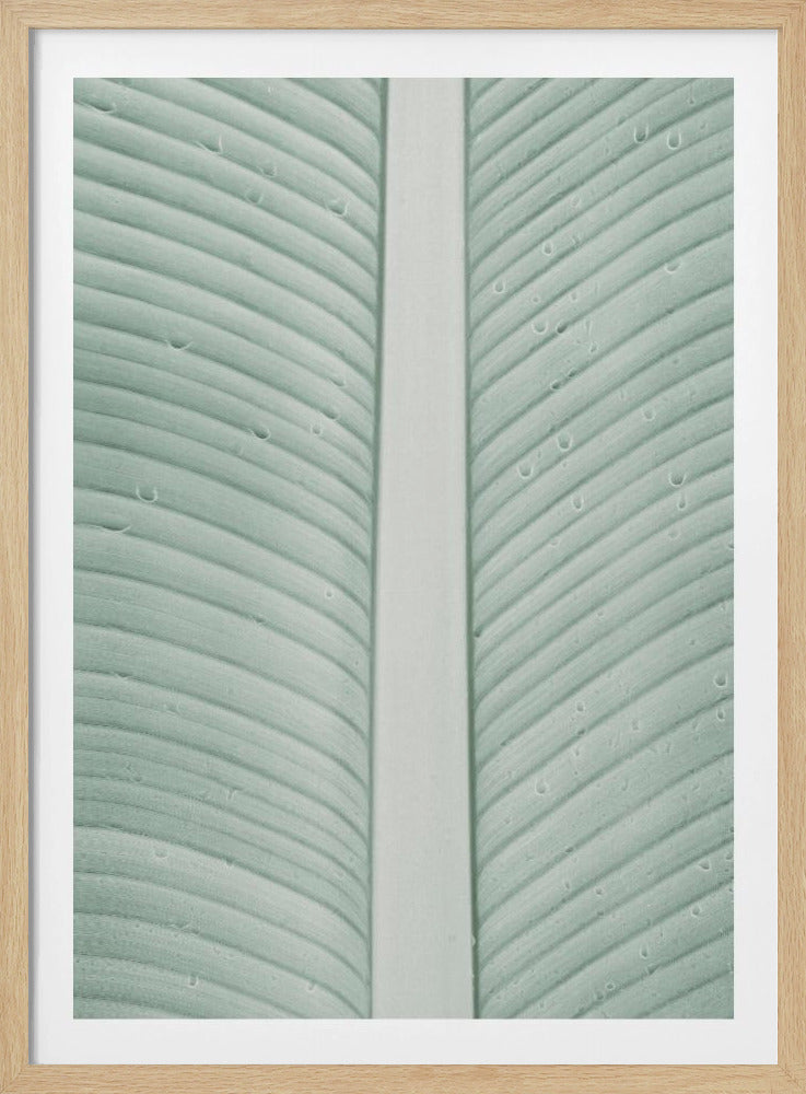 Tropische Adern | Poster
