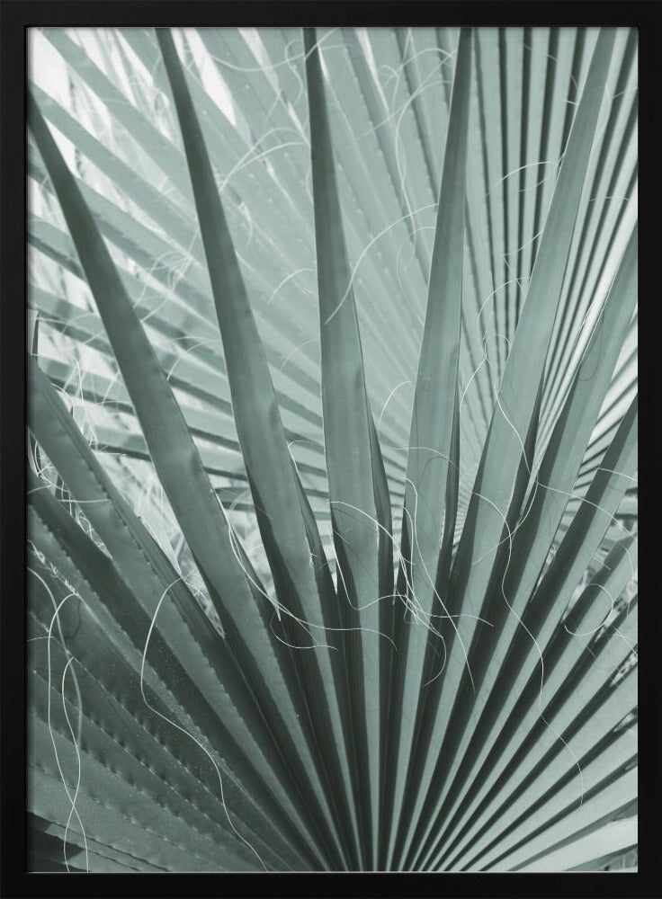 Wedelgeometrie | Poster