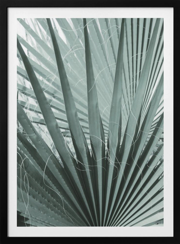 Wedelgeometrie | Poster