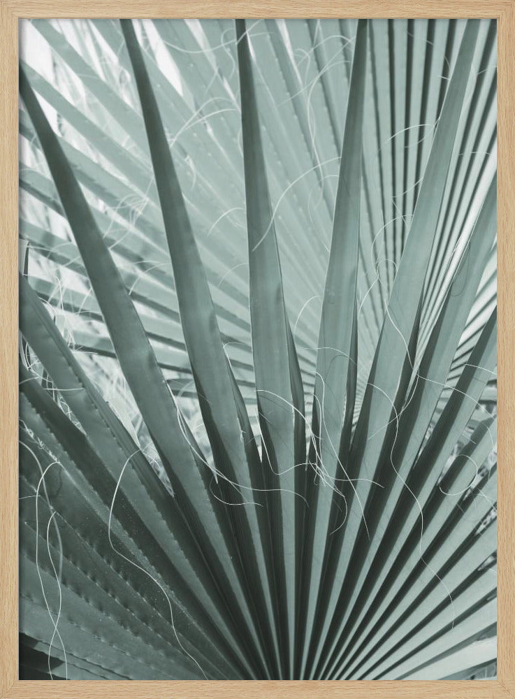 Wedelgeometrie | Poster