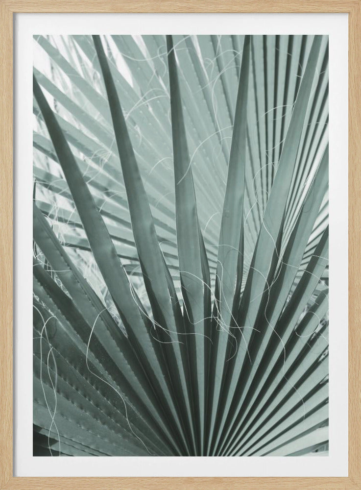 Wedelgeometrie | Poster
