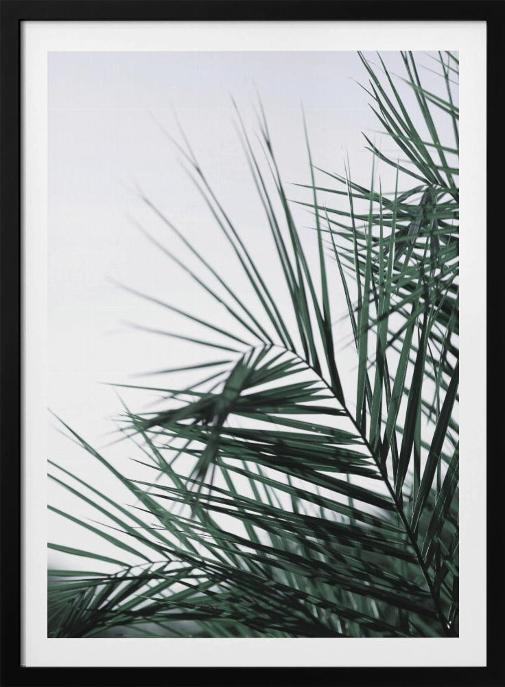 Flüsternde Palmen | Poster