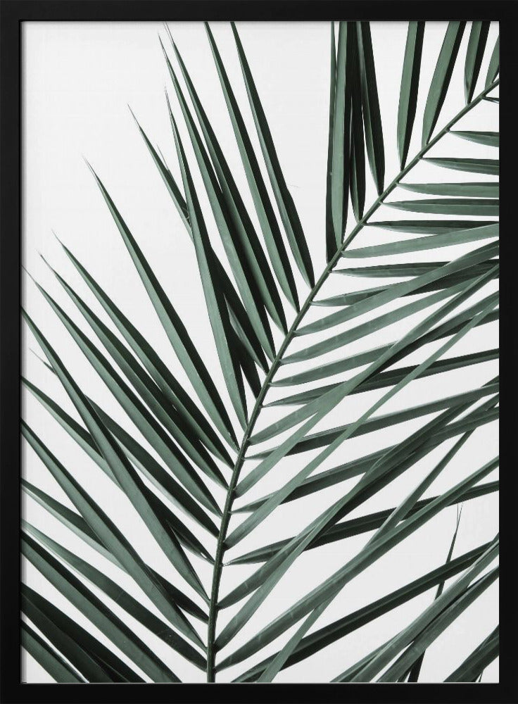 Blattige Eleganz | Poster