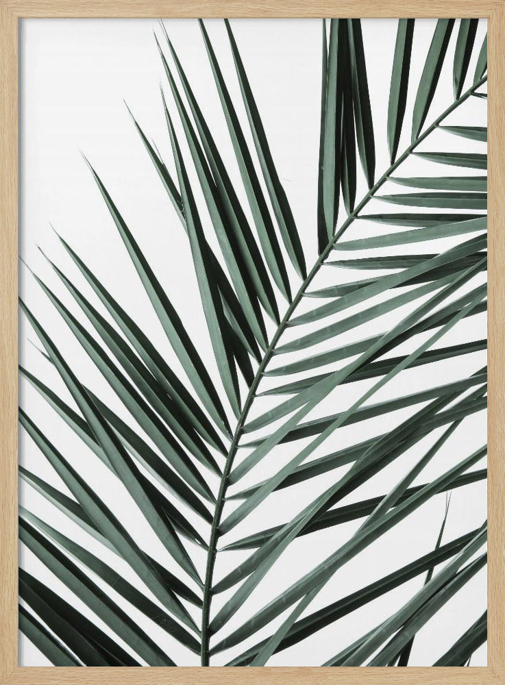 Blattige Eleganz | Poster