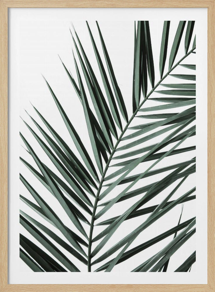 Blattige Eleganz | Poster