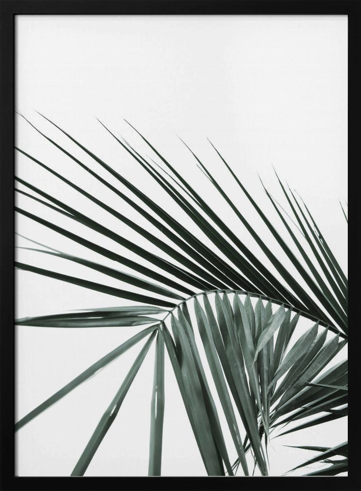 Tropische Eleganz | Poster