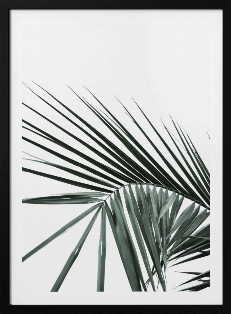 Tropische Eleganz | Poster