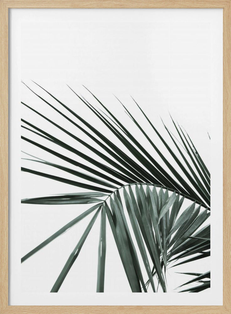 Tropische Eleganz | Poster