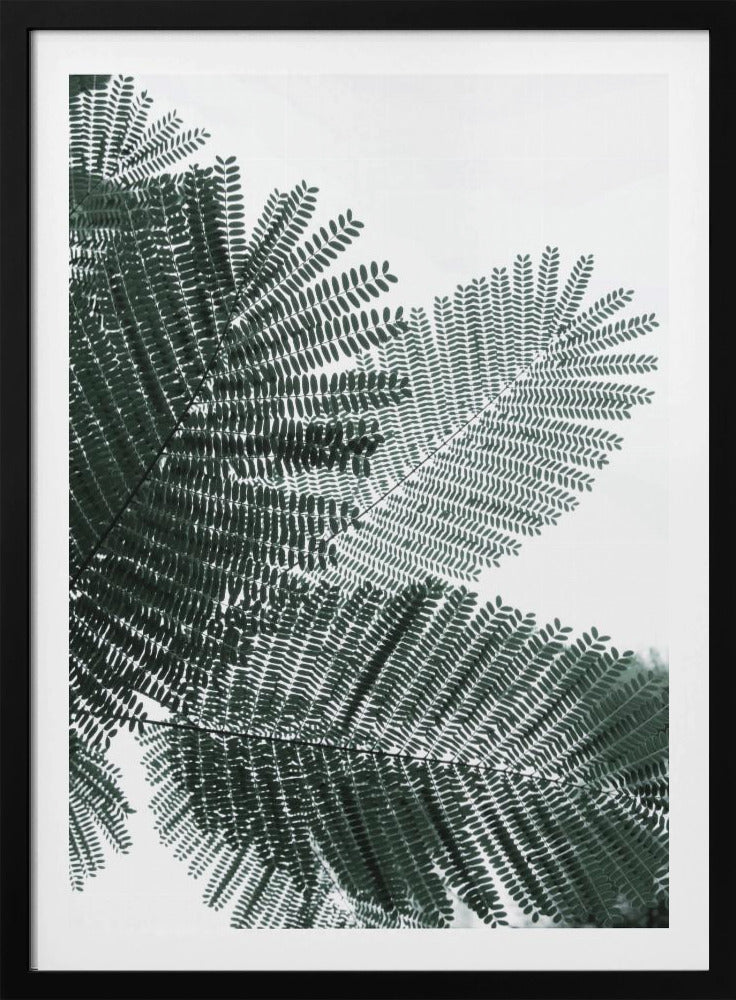 Farnflüstern | Poster