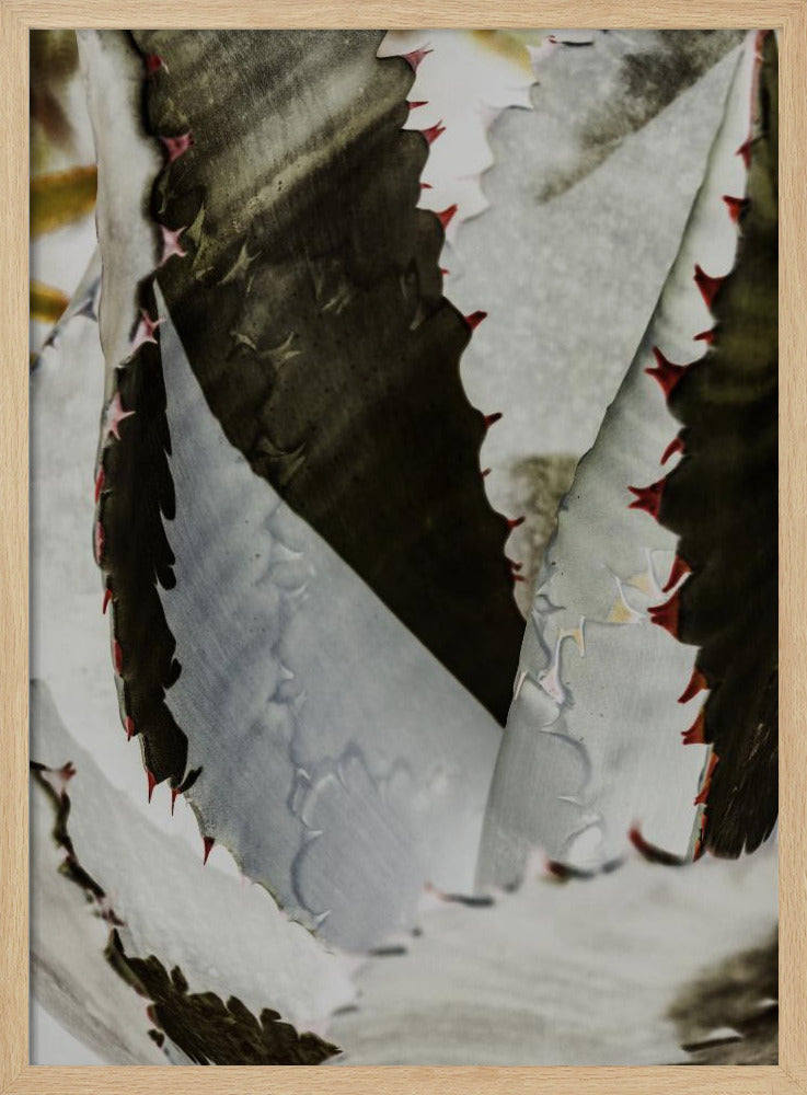 Wüsteneleganz | Poster
