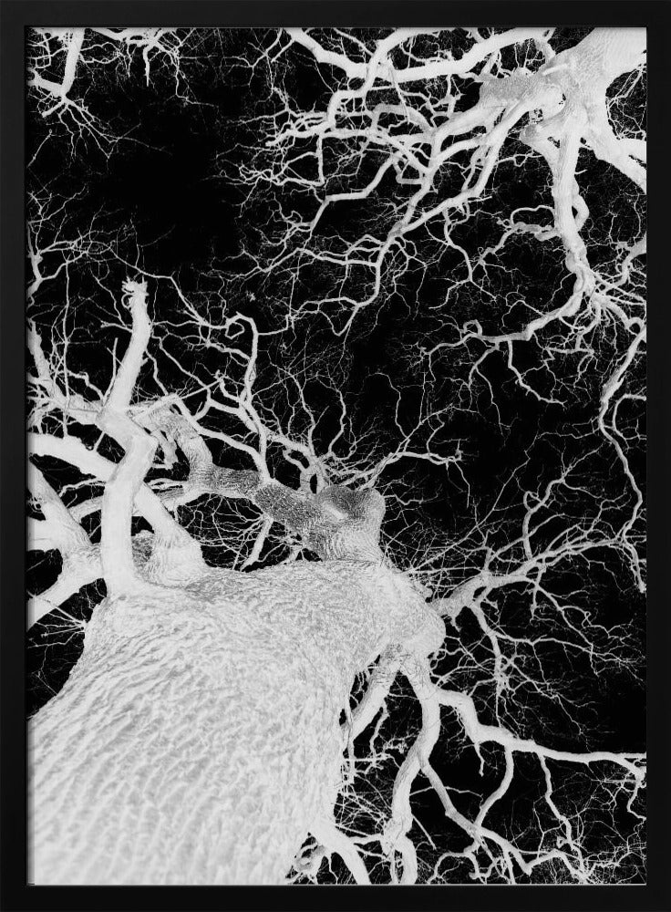 Winter's Veins | Poster