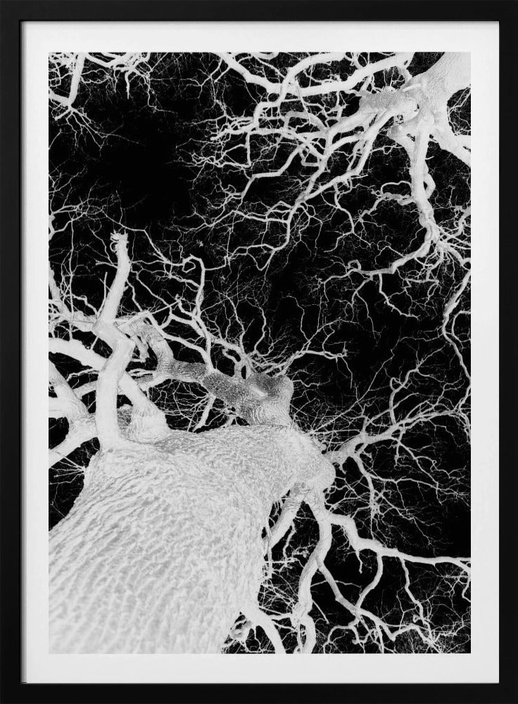 Winter's Veins | Poster