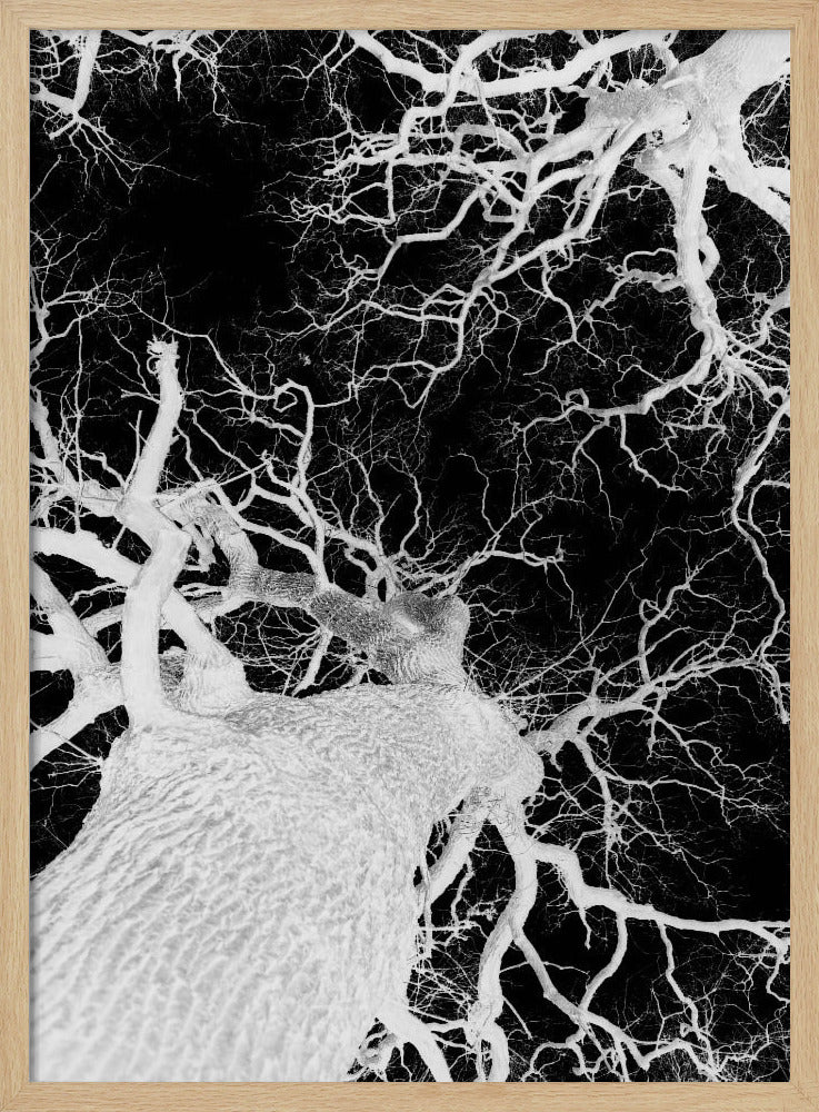 Winter's Veins | Poster