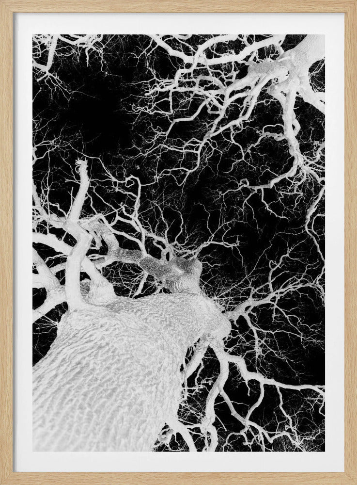 Winter's Veins | Poster