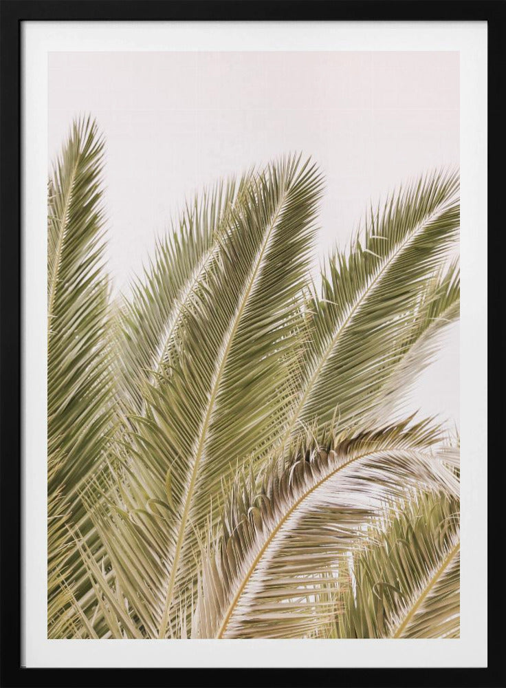 Wedel im Wind | Poster