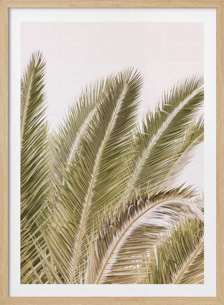 Wedel im Wind | Poster
